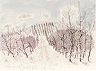 A Clearing at Mt Lofty Road