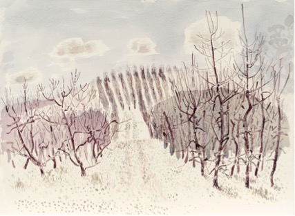 2012 Bradley Hammond A clearing off Mt Lofty Rd